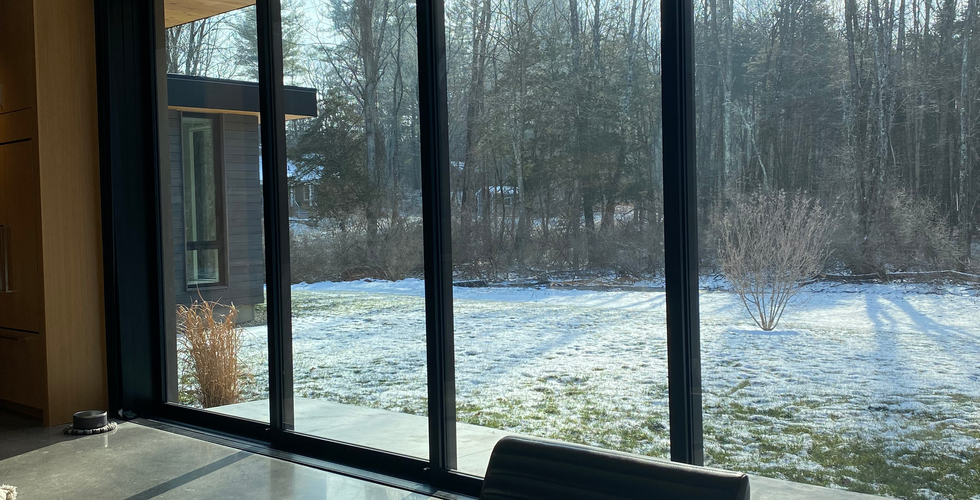 Lutron Palladiom shades