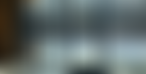 Lutron Palladiom shades